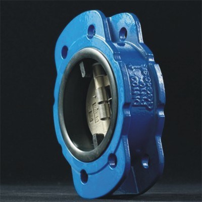 Rubber Lined Wafer Check Valve
